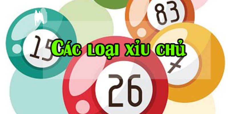 Các loại chủ yếu